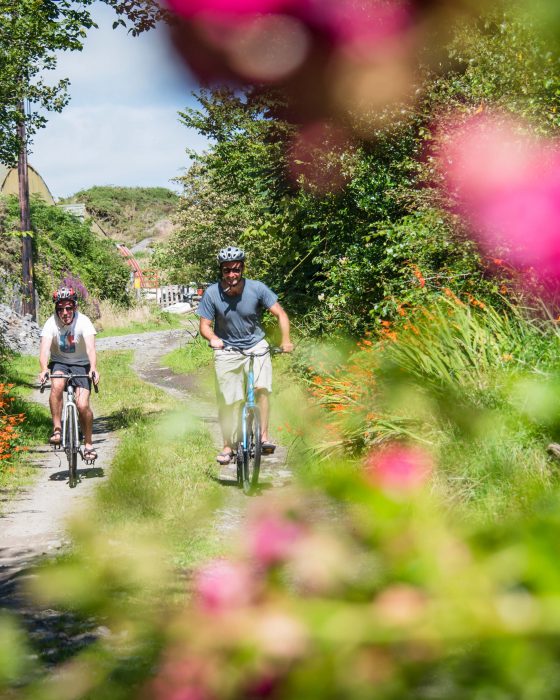 Bike Rental, Cork