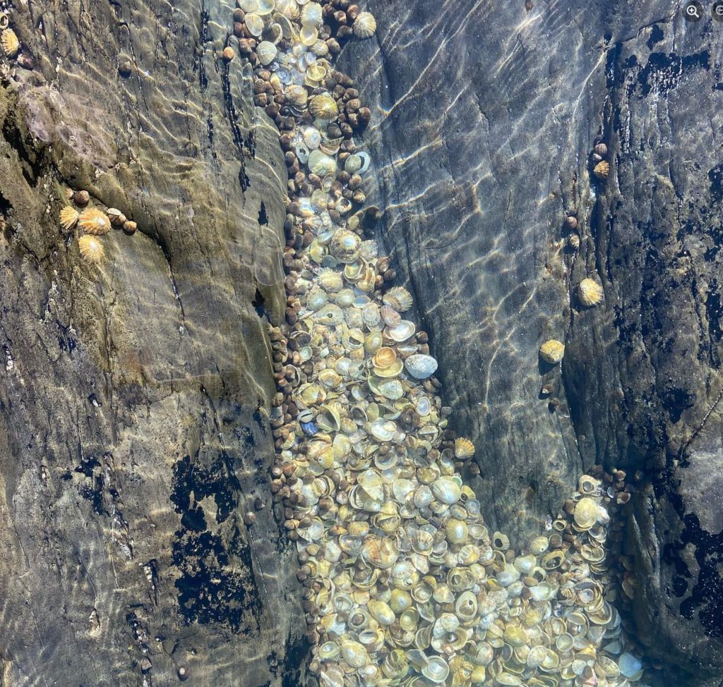 Sea Adventures, Goleen, West Cork