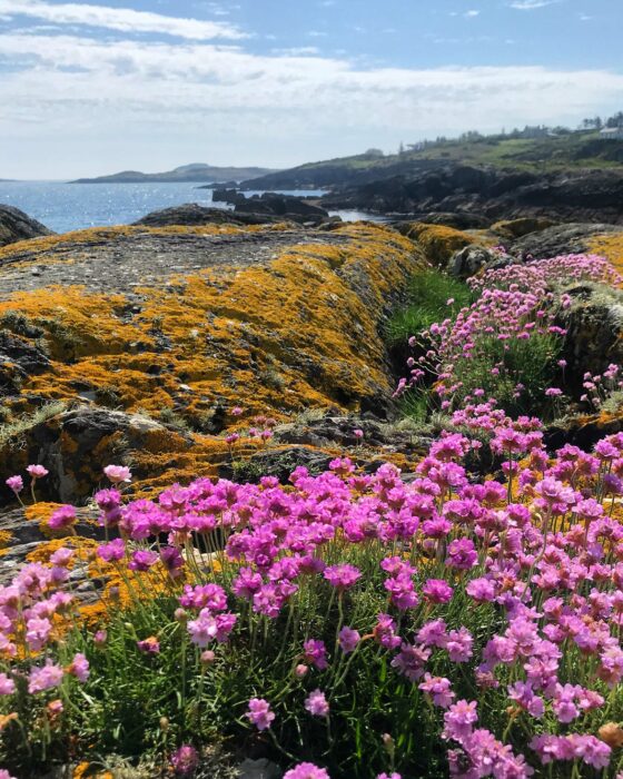 View of Goleen Harbour