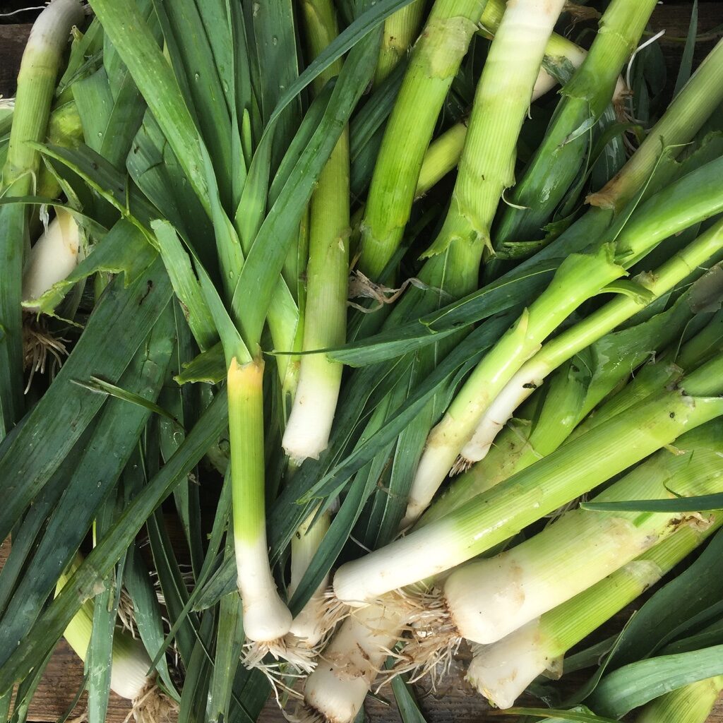 Organic Vegetables from Organic Farm, Goleen Harbour, Co.Cork