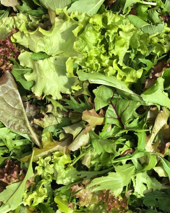 Organic Vegetables from Organic Farm, Goleen Harbour, Co.Cork