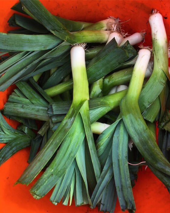 Organic Vegetables from Organic Farm, Goleen Harbour, Co.Cork