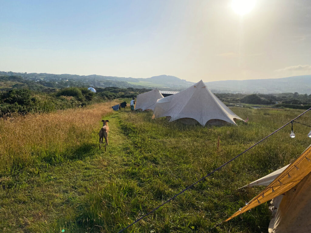 Glamping Tents in Goleen Harbour